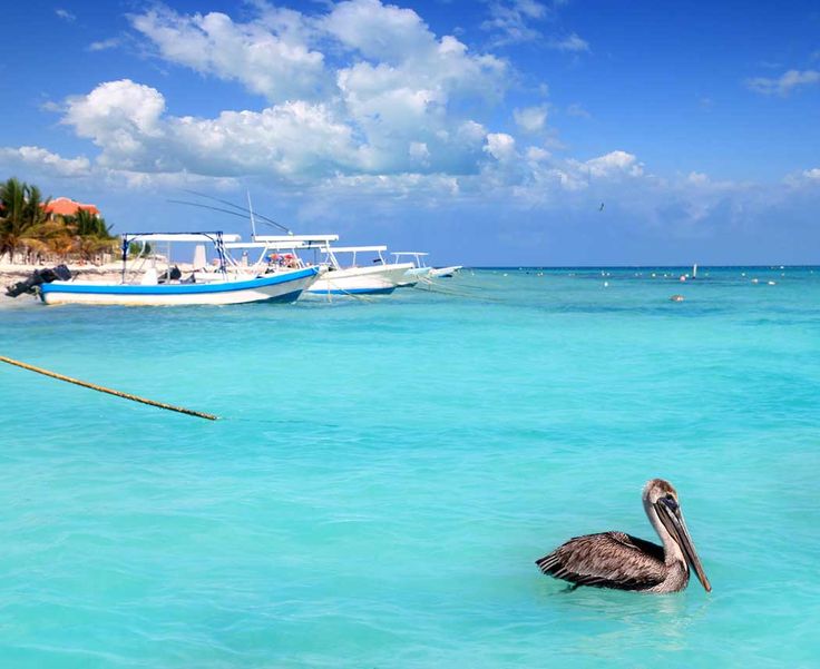 What Makes Puerto Morelos Unique